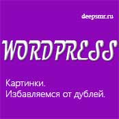 wordpress